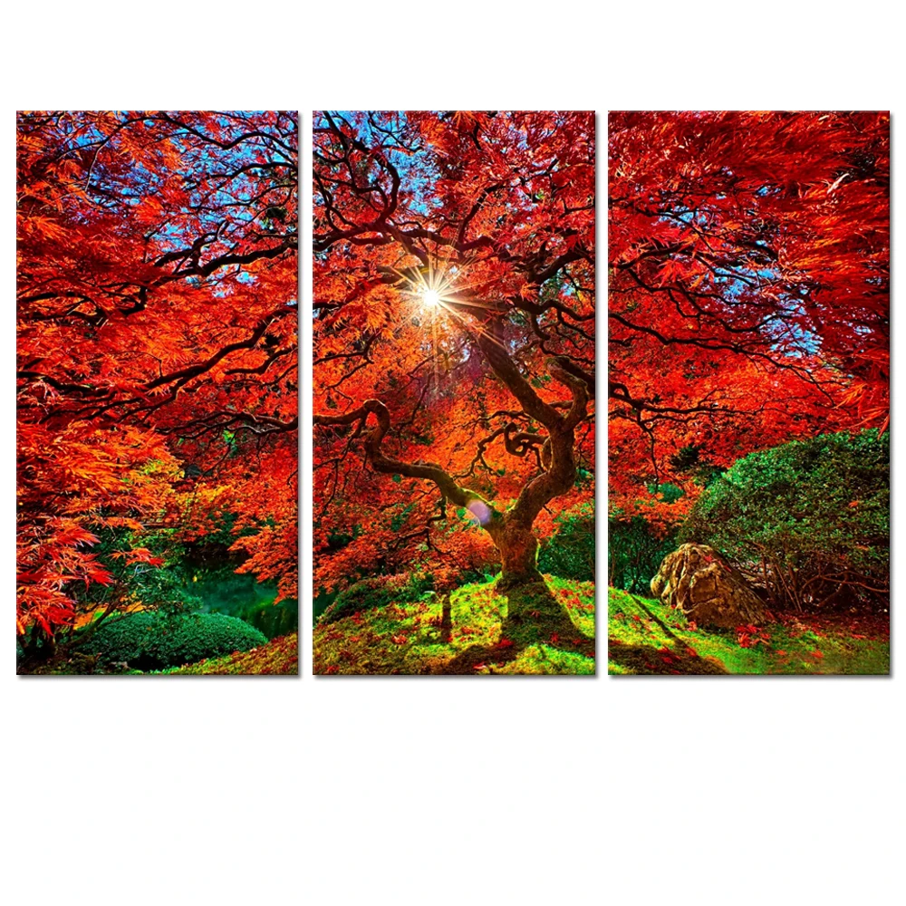 AUTUMN LEAVES TREES LANDSCAPE ART PRINT Nature Photograph Decor Wall Picture