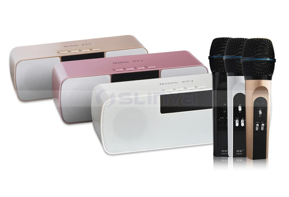 Speaker with wireless microphone 8040170721 (19)