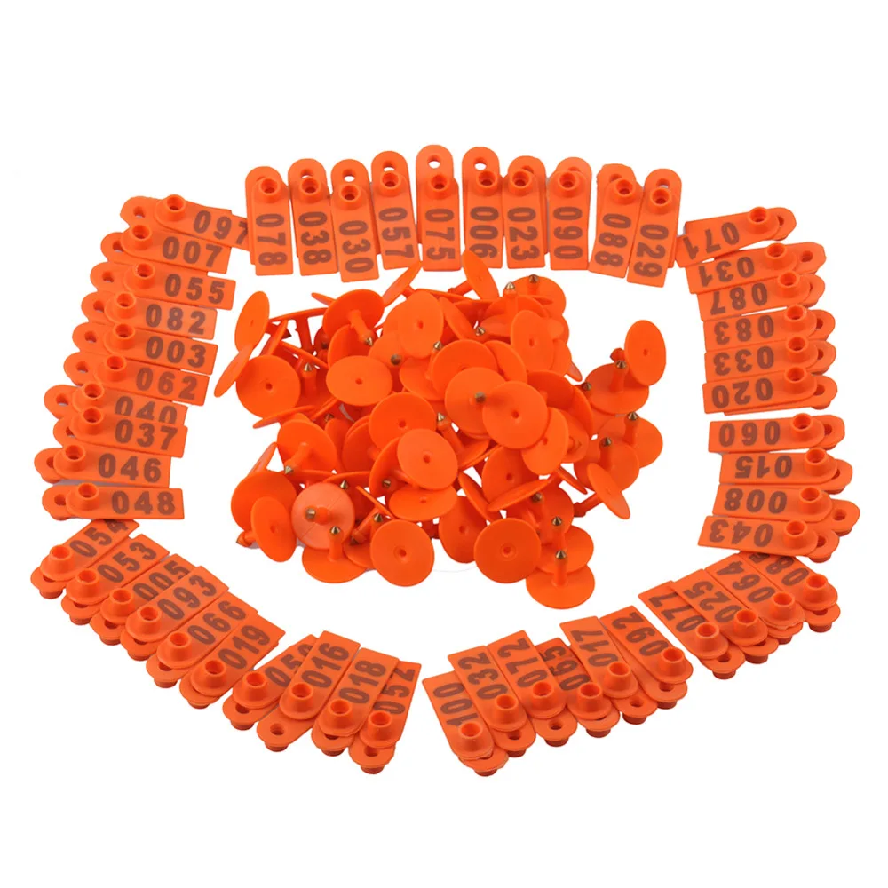 YW50-Orange (1)