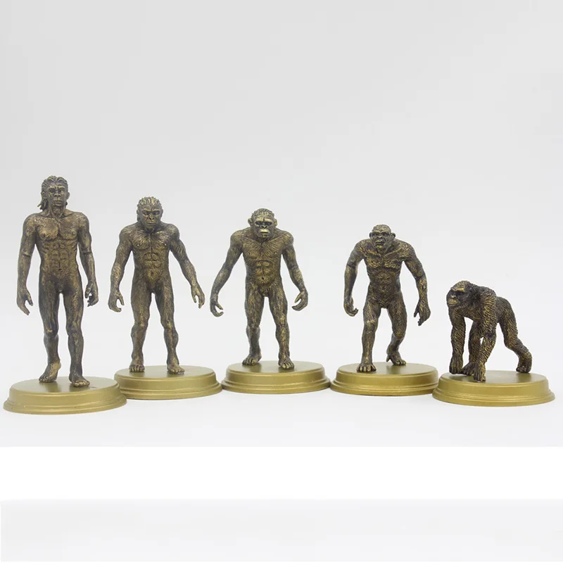 

5pcs/Set Human Evolution Monkey Ape Models Action Figures Toys Collections and Displays