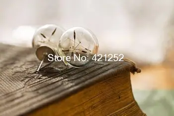 

4pairs/lot dandelion seeds stud earrings silver earstuds with glass orbs filled with real dandelions