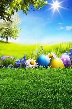 

Hot Sale Easter Color Eggs Photography Background Grass Sunshine Spring Photography Backdrops Backgrounds for Photo Studio Props
