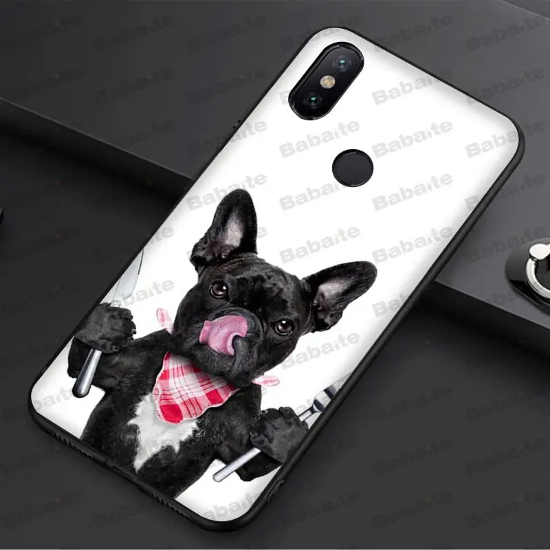 french bulldog dog