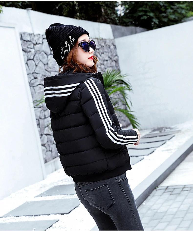 coat (6)