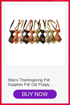 Acessórios para cães