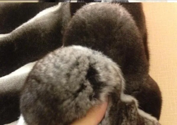 Толстая Женская Шуба из натурального меха Рекс, верхняя одежда из кроличьего меха, куртки из натурального меха, мех шиншиллы, плюс размер, жилет