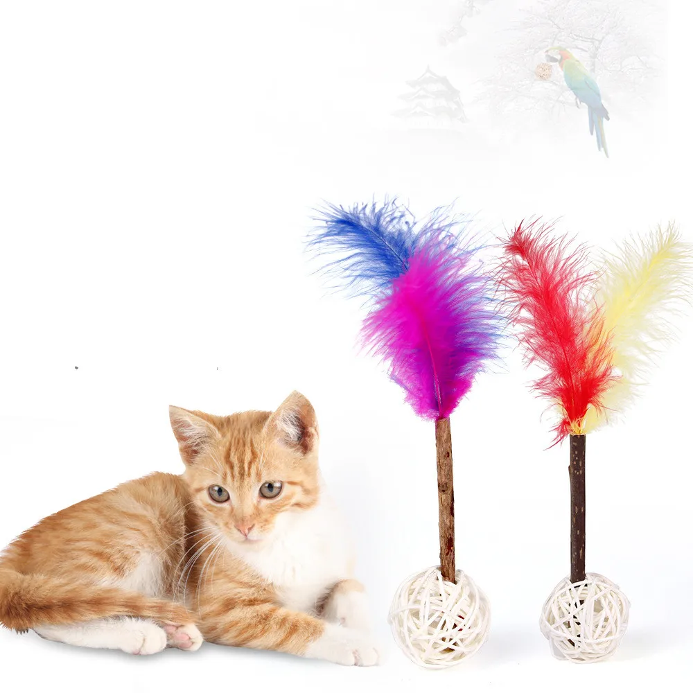 Aliexpress.com : Buy Pet Silvervine Grinding Teeth Cat Toy ...