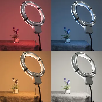 

Gosear 4PCS Foldable Softbox Diffuser Cloth Kit for 12inch Ring Light Ringlight Beauty Portrait Fill Light Product Photography