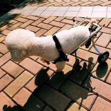 Собака инвалидная коляска скутер для собаки для инвалидного кресла автомобиля бездействия сломанные ноги кошка для реабилитации для инвалидных колясок