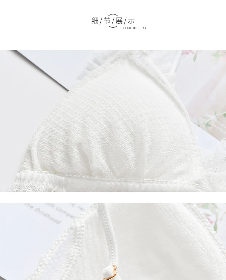 JSFS6 (11)