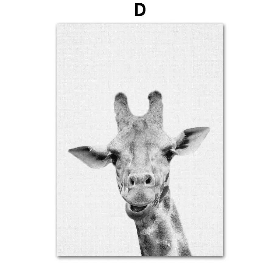 Черно-белый жираф зебра слон корова скандинавские плакаты и принты настенные художественные картины на холсте настенные картины для декора гостиной - Цвет: D