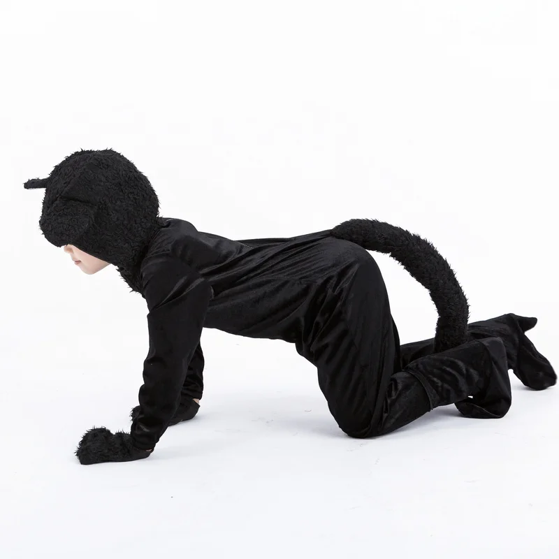 black cat 09 800