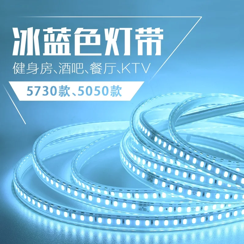 1000m Pack, Outdoor 220V LED Flexible Neon Stripe of Ocean Blue with 5730 Beads / 100m per Spool / 3 Years Warranty