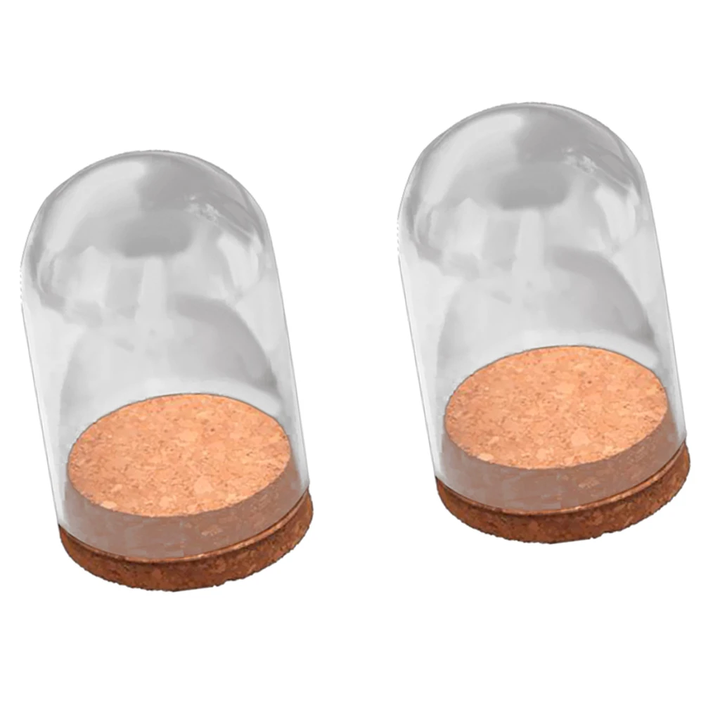 4Pcs-set Dome Clear Glas Wooden Cork Base Shade Cover Shield Shelf Display Home Decorations