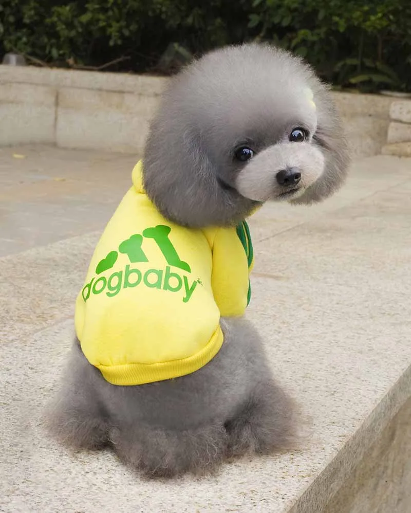 XS S M L XL XXL Pet Dog Clothes Sport Dog Hoodie Chihuahua Sweater Coat for Small Dogs Cats Pet Supplies Puppy Costume Black Red Yellow Gray 11