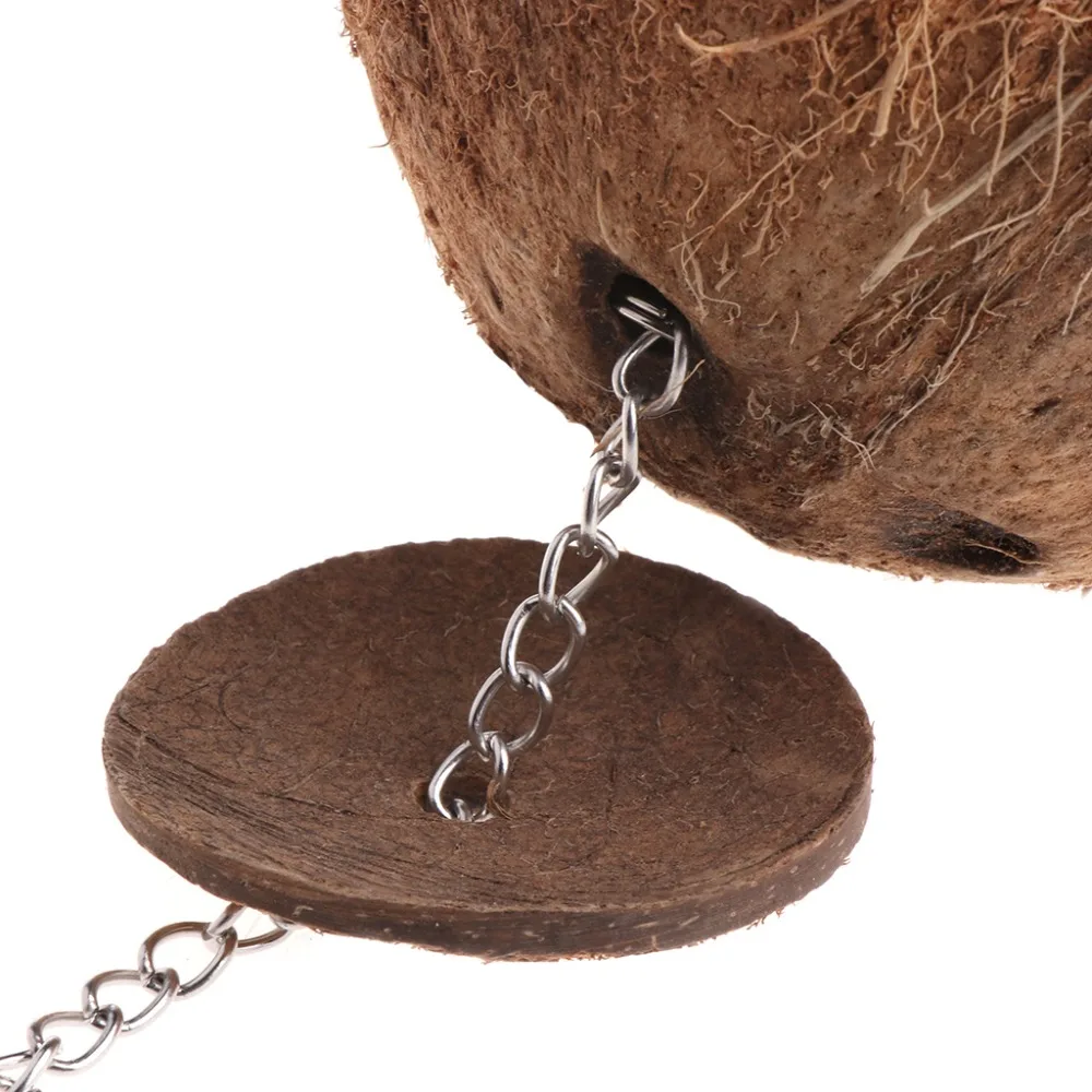 Птица Попугай Финч гнездо натуральный кокосовой скорлупы подвесная цепная клетка игрушки качели дом