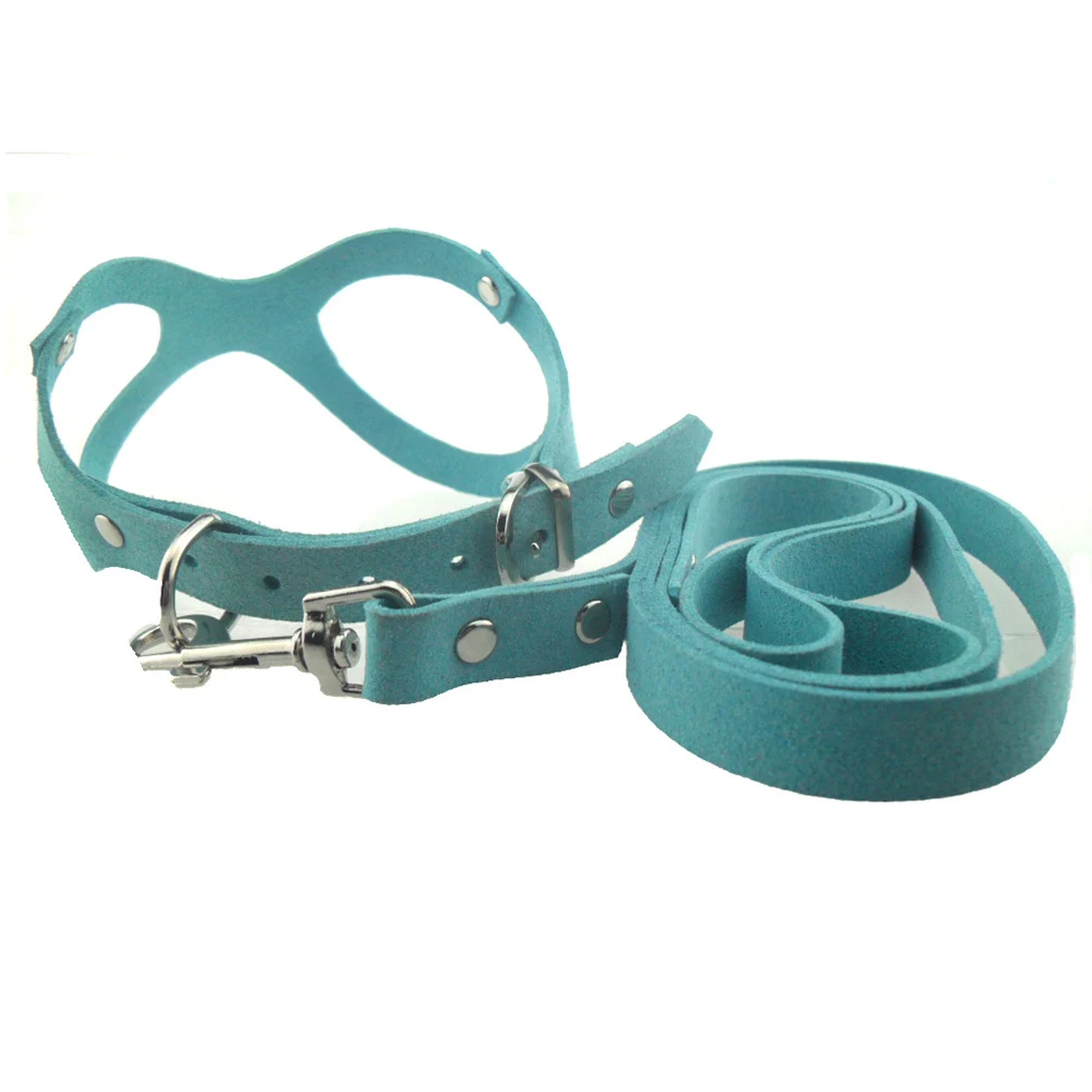 blue leash