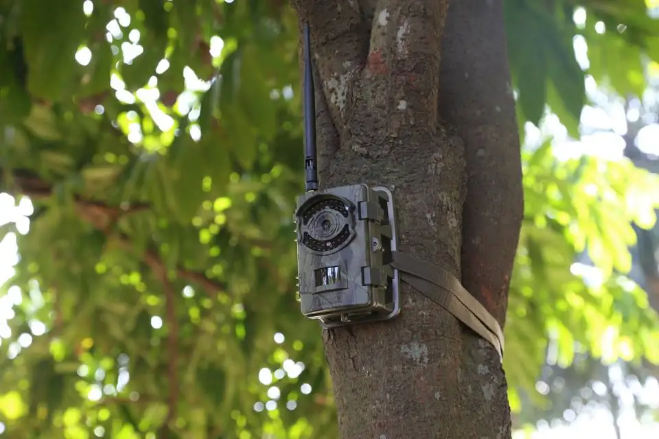 

16MP 3G MMS Email SMS control Outdoor Infrared Hunting Trail Fototrappola Camera with 48pcs 940nm invisible LEDs Fototrampeo