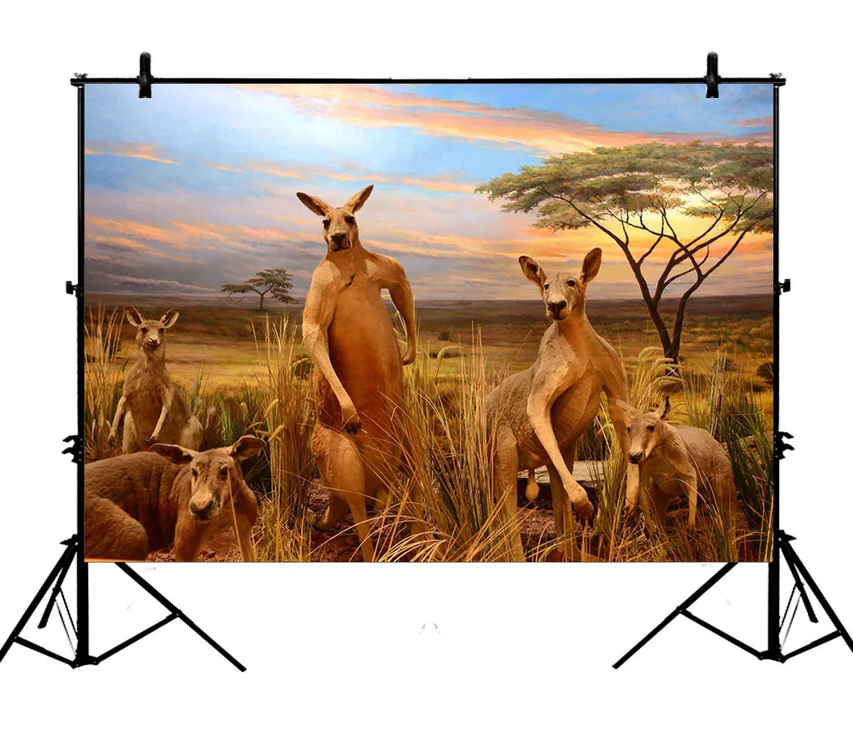 

5x7ft Golden Frame Lovely Kangaroo Polyester Photo Background Portrait Backdrop