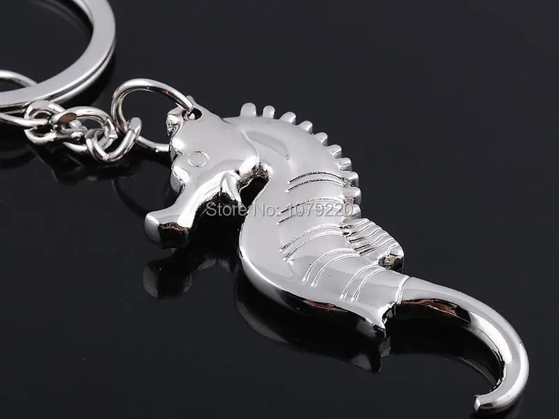 Sea Horse3