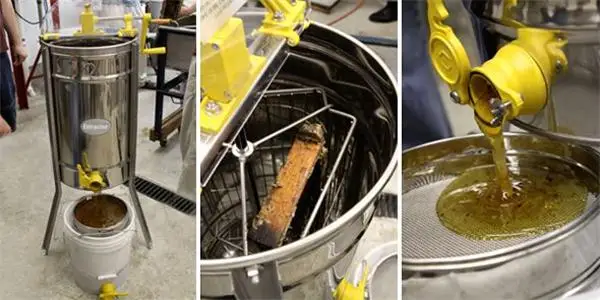 honey bee extractor2