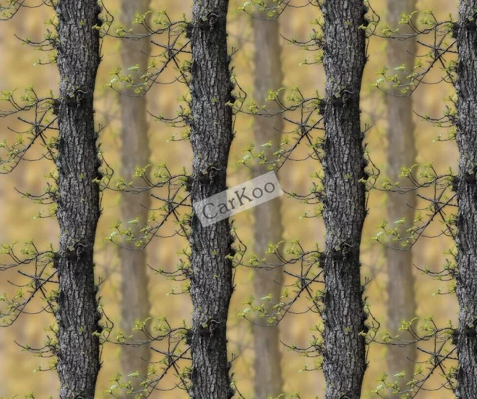 Камуфляжные виниловые обертки листы в Realtree, бионический камуфляж шаблон для автомобиля пленка Стайлинг автомобиля стикер тела