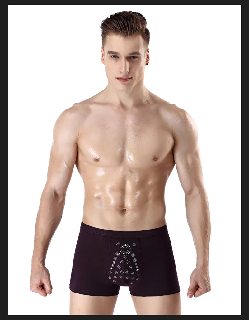 boxer009