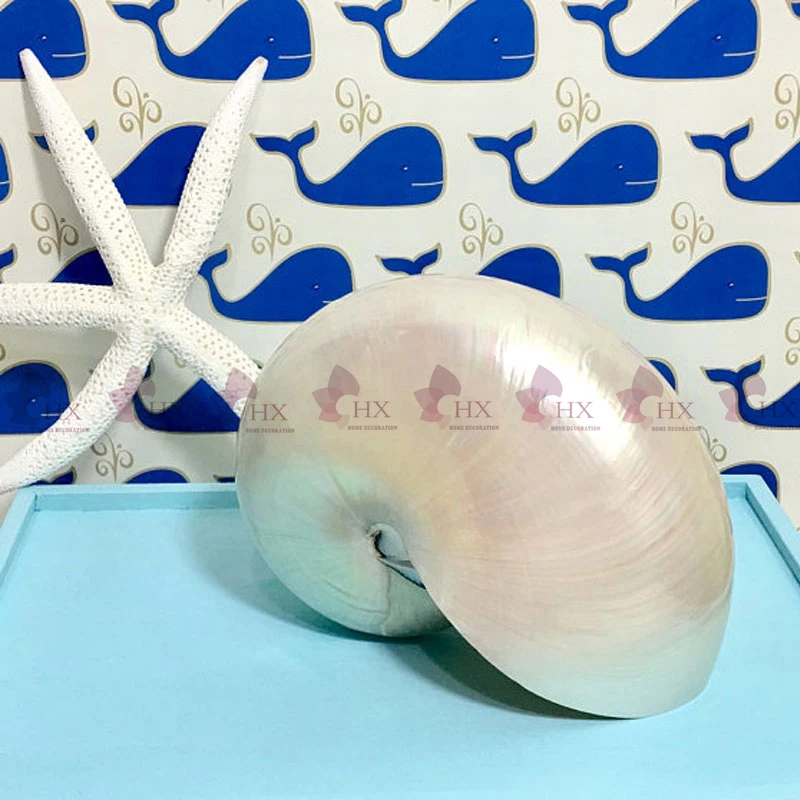 SZ002