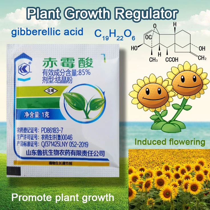 

1 g Concentrate Gibberellic Acid 920 Plant Growth Regulator Break Sleep Fertilizer Increase Production For Home Garden Bonsai