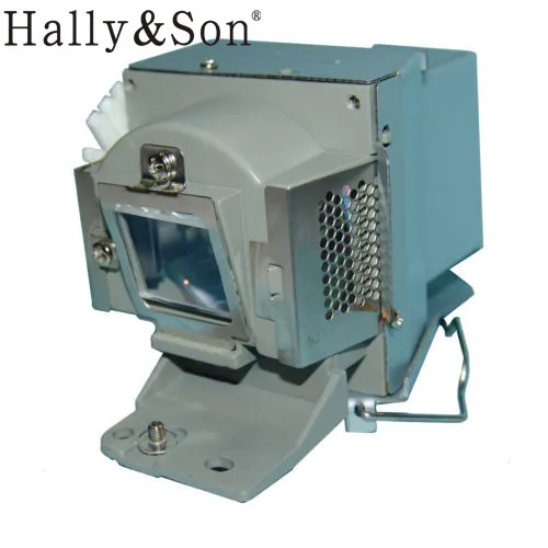 

100% Original projector lamp with housing 5J.J5205.001 for MS500/MX501/MX501-V
