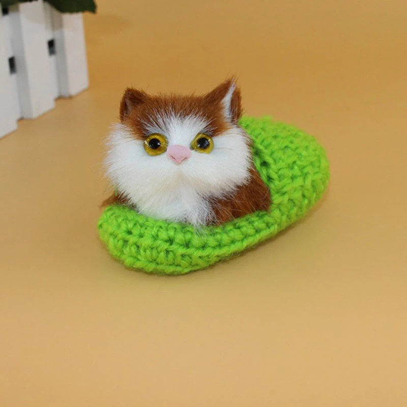 a cute little cat