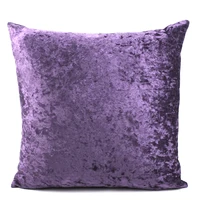 Ice Silver Velvet Pillow Solid Colorr Luxury Pillowcase Cushion Home Decor For Living Room Sofa Custom Throw Pillow 40/45/50/60 2