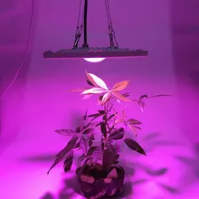 Водонепроницаемый IP65 полный спектр 300 Вт 600 Вт Светодиодный светильник для выращивания гидропоники, светодиодный светильник для теплицы, подходит для комнатных и наружных растений