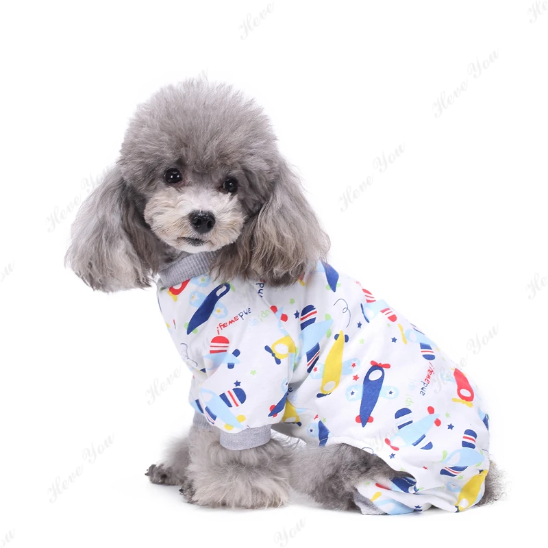 Dog_2517
