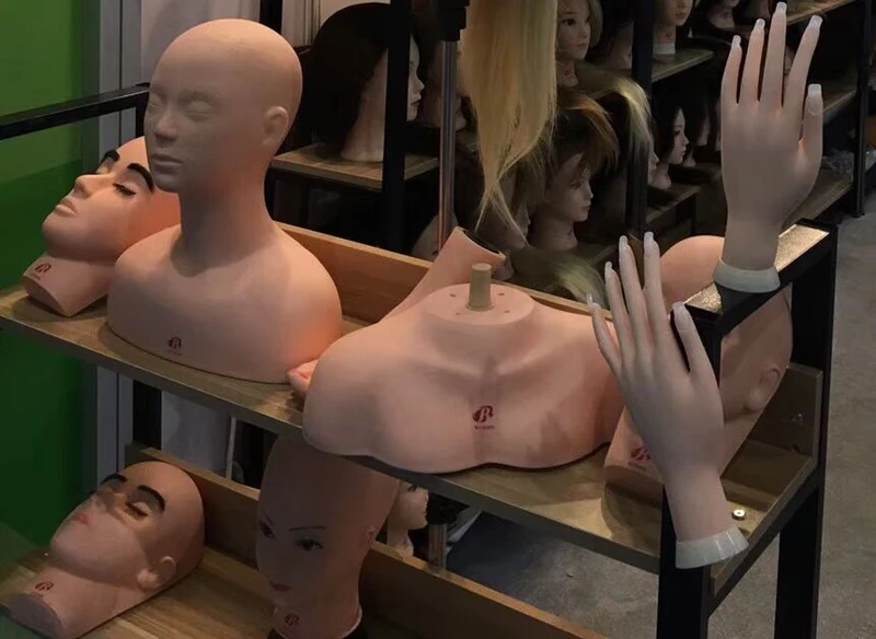 Fêmea Do Mannequin Cabeça Formação De Cabeleireiro