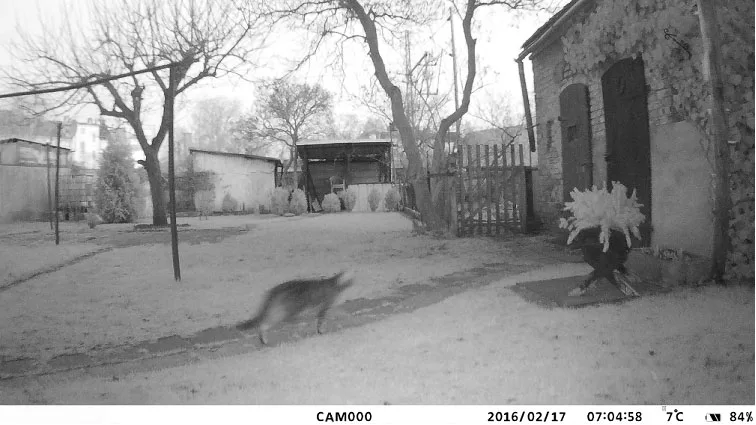 HC-550G Фотоловушка фото ловушка gsm камера фотоловушки thermal photo traps видеонаблюдение ловушки охотничья капканы night 3g