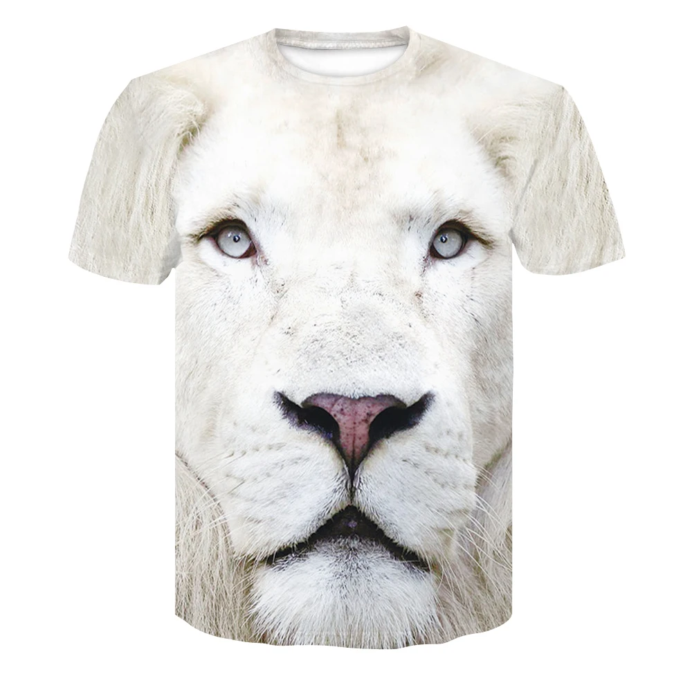 DT051-T-
