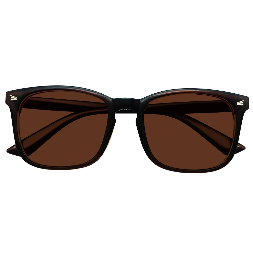 G20593_80_TINTEDBROWN_MAIN2