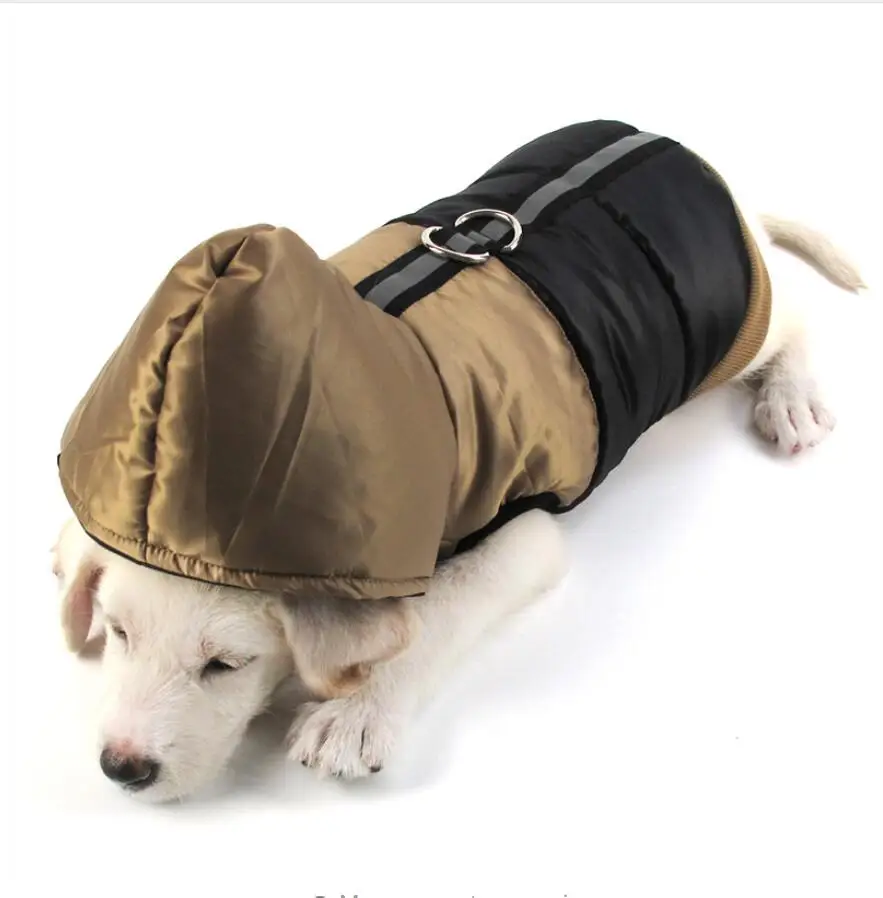 forever in peace pet cremation services