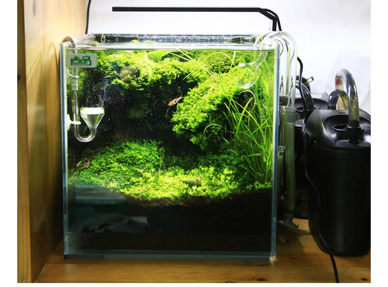led for nano planted