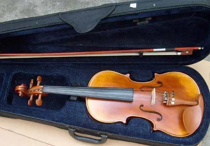 

Matt Wood violin, handmade, jujube accessories, ebony fingerboard, send violin case, bow, rosin, strings, violin shoulder pads