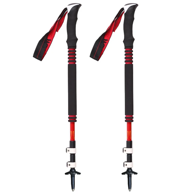 walking stick for mountain climbing