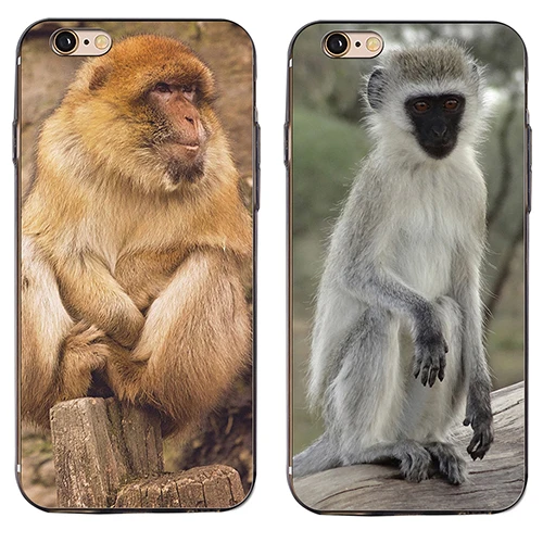 Monkey Orangutan Phone Case Cover for iPhone 6 7 Plus |