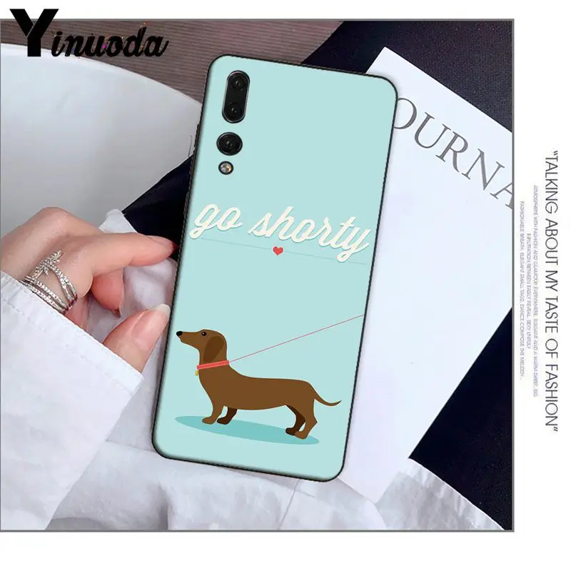 Animals Dogs Dachshund 