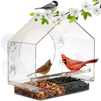 

2019 Acrylic Transparent Bird Feeder With Suckers Birds Cage For Tree Garden Decoration Dropshipping