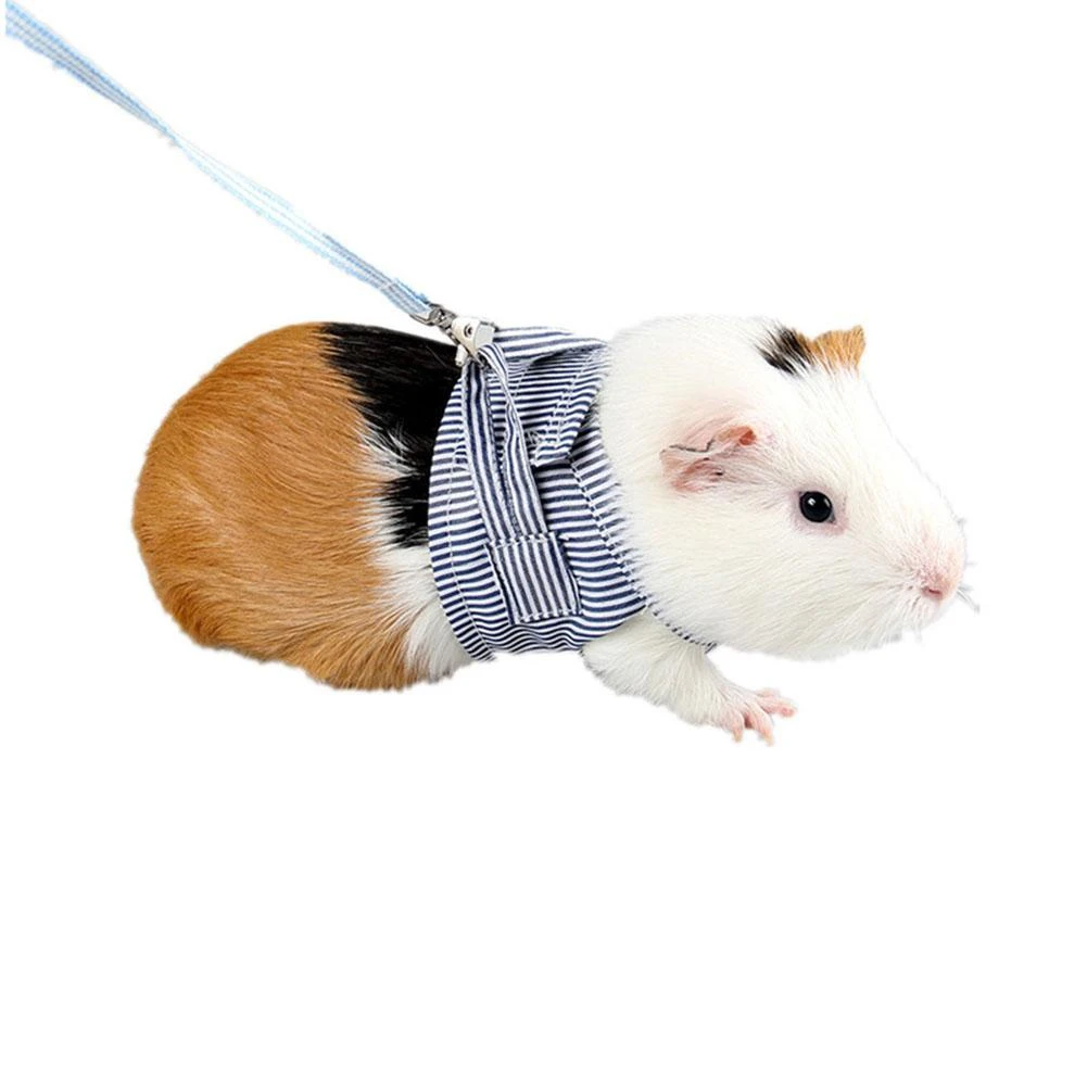 lila Chemicaliën aspect HobbyLane Huisdier Hamster Tractie Band Outdoor Training Zachte Katoenen  Kleding Touw voor Hamster Cavia| | - AliExpress