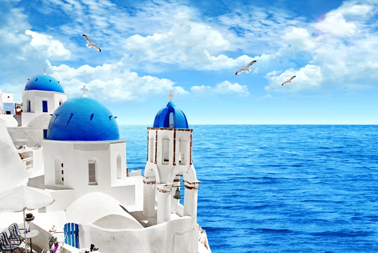 5000 Pieces Jigsaw Puzzles Every Piece is Unique Jigsaw Puzzles for Adults Seagull 5000 Pieces Jigsaw Puzzles Every Piece is Unique Jigsaw Puzzles for Adults Seagull