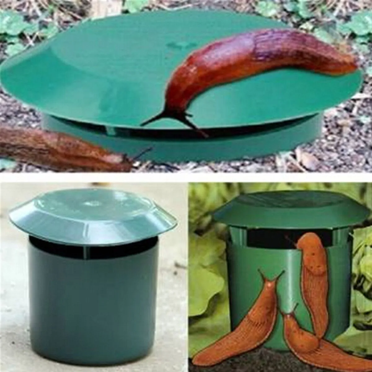 

Cheap HG-GA1 Vegetable Garden Safe Snail Trap Physics Environmental Limax Snail Slug Trapper Physical Damage