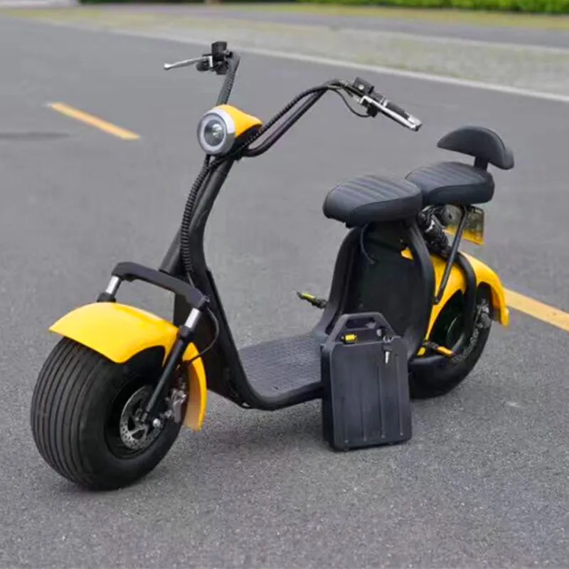 Big Wheel Electric Scooter with removable battery