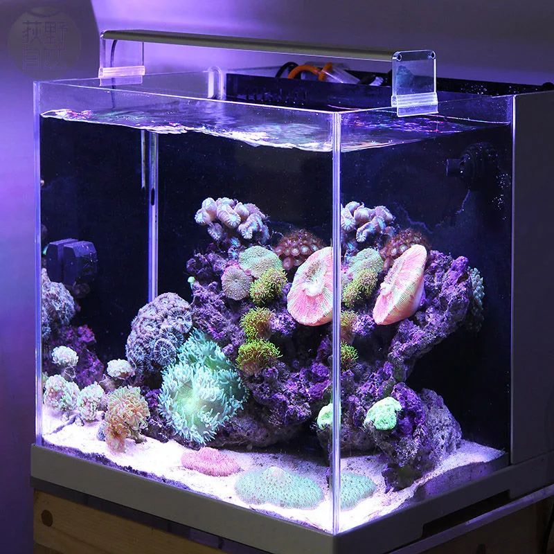 

Chihiros Marine LED light coral SPS LPS aquarium Sea Reef Tank White Blue Chihiros